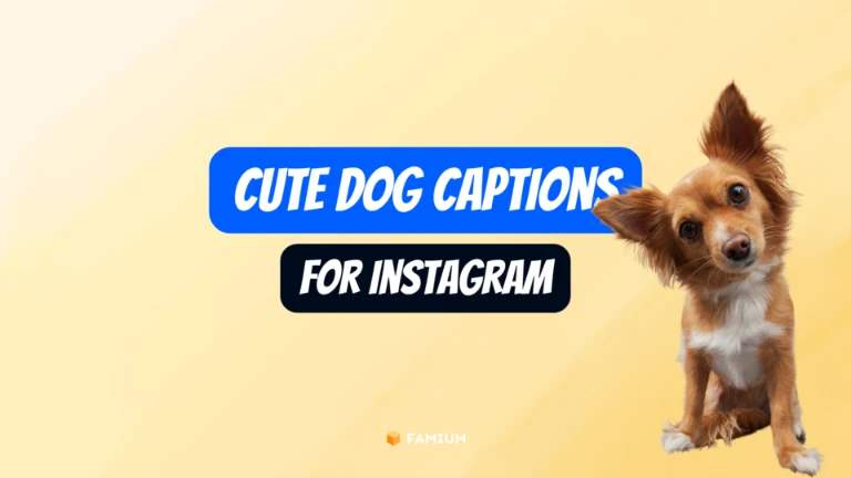 Cute Dog Instagram Captions